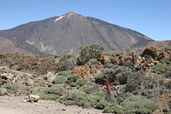 Der Teide überragt alles
